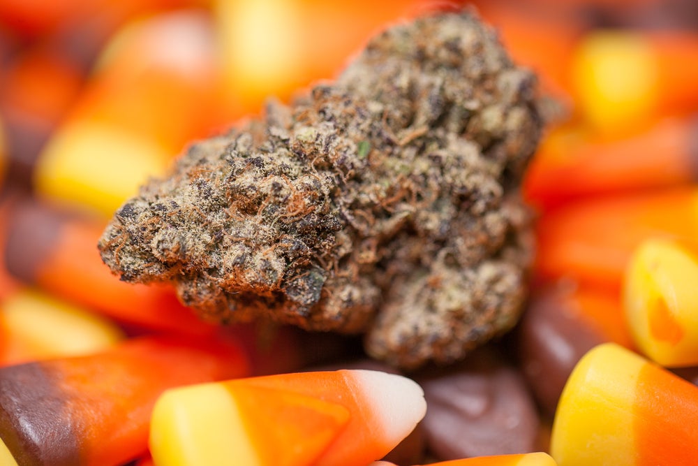 Spooky Cannabis Nugget in front of sweet candy corn for halloween